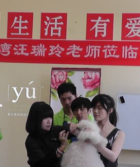 学校环境 (119)