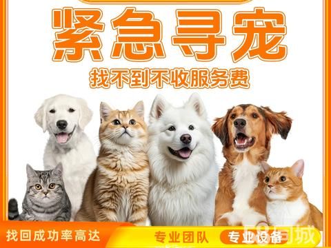宠速回宠物找回服务·您的毛孩子正在等您，专业寻宠，寻找宠物，宠物搜救，不成功不收费！