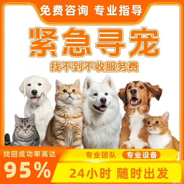 店主头像