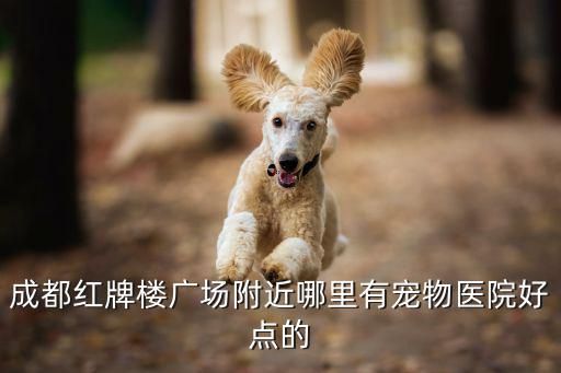 成都红牌楼广场附近哪里有宠物医院好点的