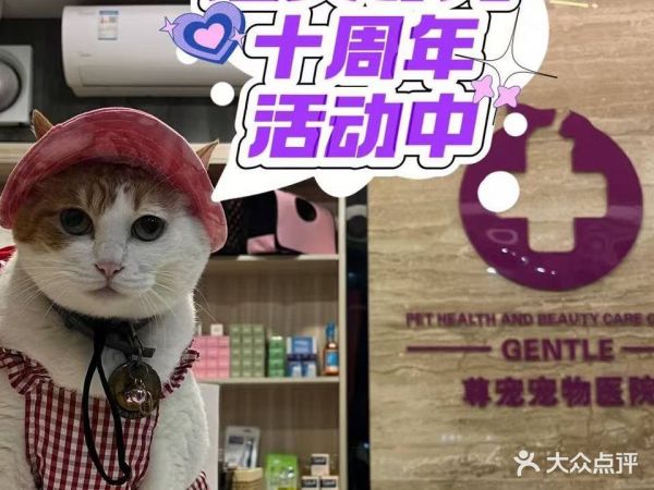 尊宠宠物店医院