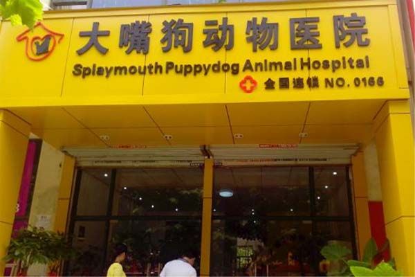 大嘴狗宠物医院加盟