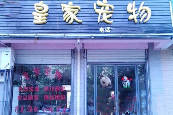 皇家宠物加盟