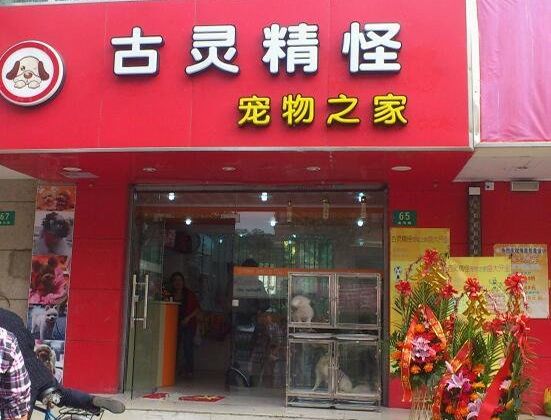 古灵精怪宠物店加盟