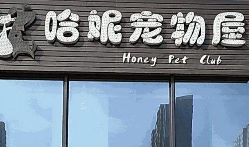 宠物店加盟店排行榜(萌宠乐园加盟需要多少钱)插图4
