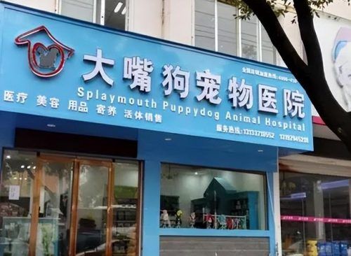 宠物店加盟店排行榜(萌宠乐园加盟需要多少钱)插图3