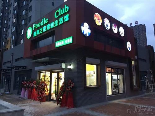 宠物店加盟店排行榜(萌宠乐园加盟需要多少钱)插图6