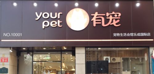 宠物店加盟店排行榜(萌宠乐园加盟需要多少钱)插图9