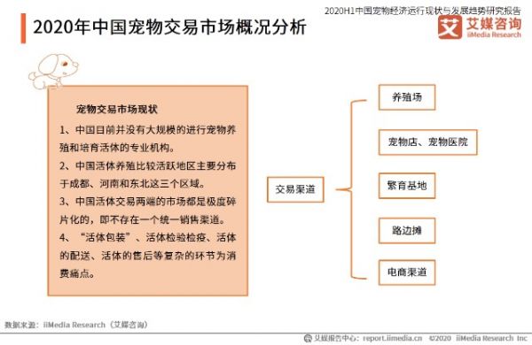 2020年中国宠物交易市场概况分析