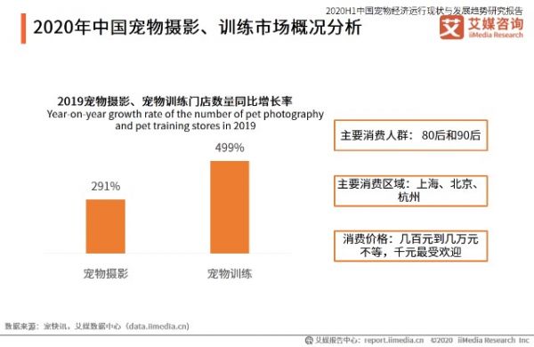 2020年中国宠物摄影、训练市场概况分析