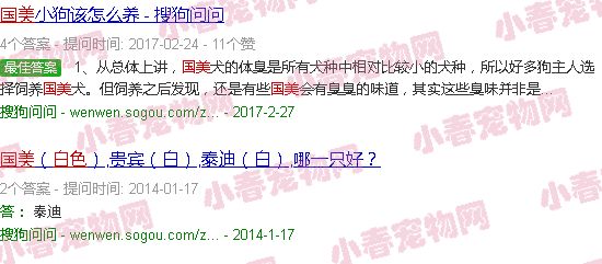 白色国美狗狗图片