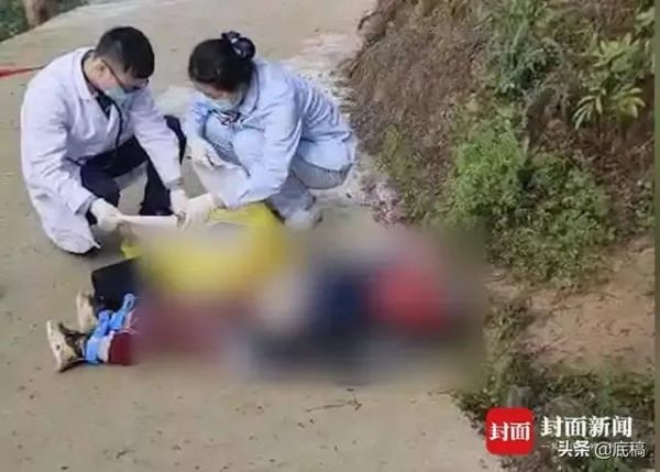 国美狗图片:一楼的大爷打伤了在自家窗户下排便的宠物狗，他的行为违法吗？