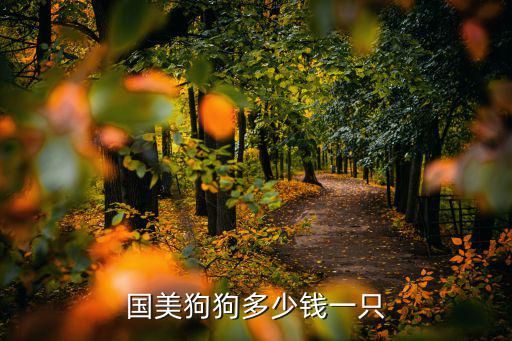 国美狗狗多少钱一只
