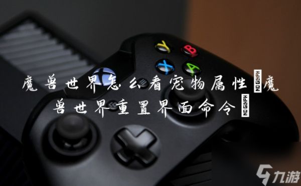 魔兽世界怎么看宠物属性(魔兽世界重置界面命令)