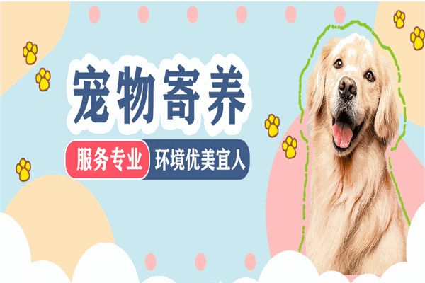 DAC宠物托养中心加盟