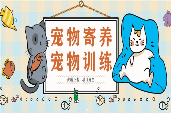 DAC宠物托养中心加盟