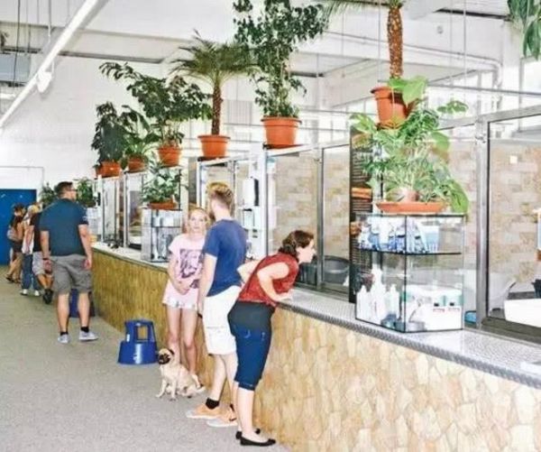 德国宠物店竟然不卖猫狗，理由让人哭笑不得，生存模式太奇葩！