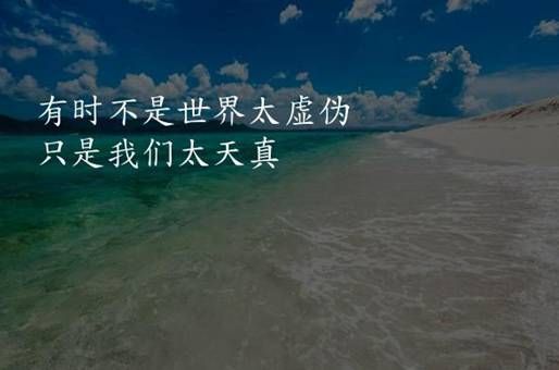 SWITCH宠物小精灵性格
