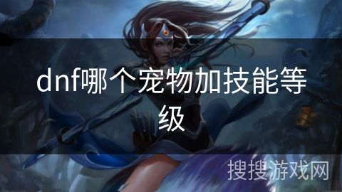 dnf哪个宠物加技能等级