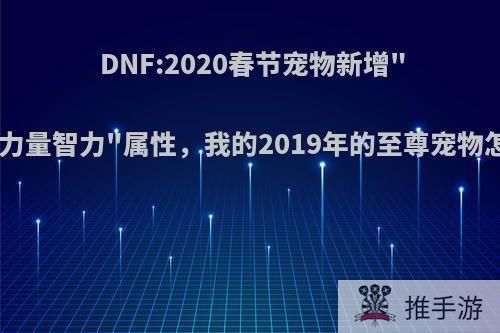 DNF:2020春节宠物新增
