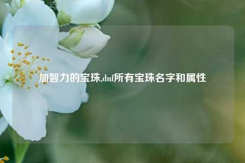 加智力的宝珠,dnf所有宝珠名字和属性