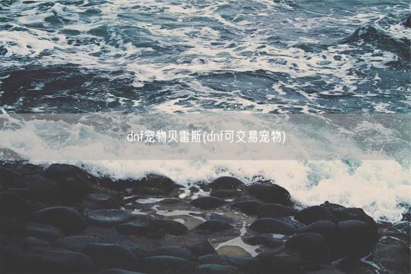 dnf宠物贝雷斯(dnf可交易宠物)(图1)