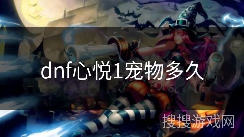 dnf心悦1宠物多久