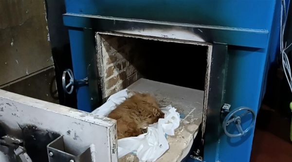 服务优质，品质服务 北京宠物坟墓 宠物公墓 狗墓地 宠物树葬 宠物丧事