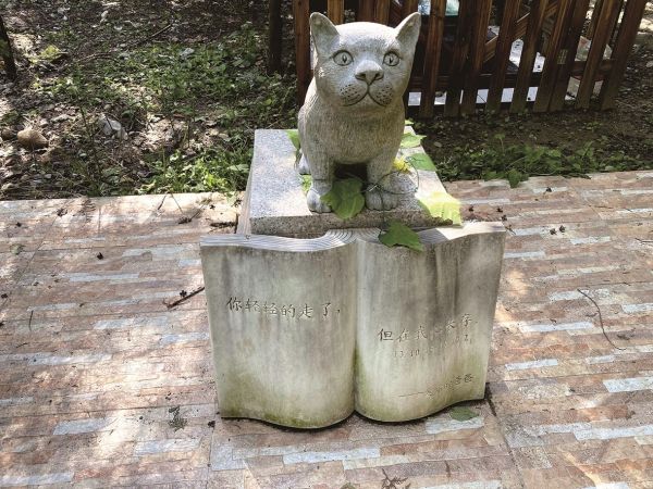 墓地费用最高近万元 用地却无保障 宠物"身后事"引出政策真空带