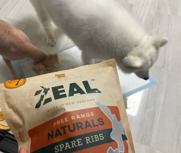 宠物狗吃什么零食好？ZEAL牛肋骨，让毛孩子吃得开心又健康