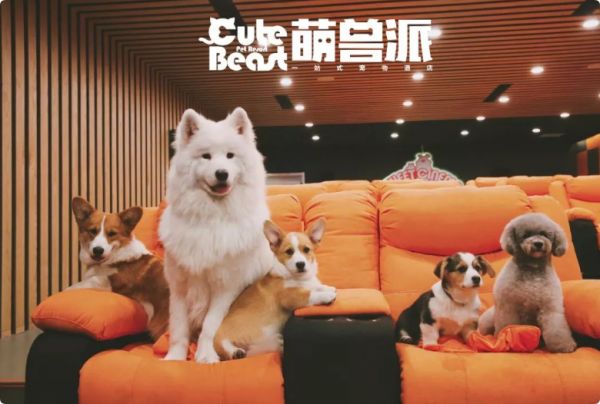 萌兽派宠物