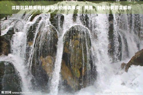 沈阳到昆明宠物托运空运价格表查询：费用、时间与费用全解析
