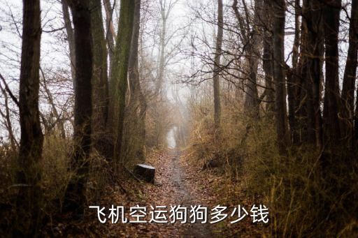 飞机空运狗狗多少钱