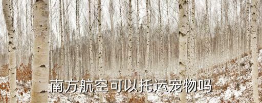南方航空可以托运宠物吗