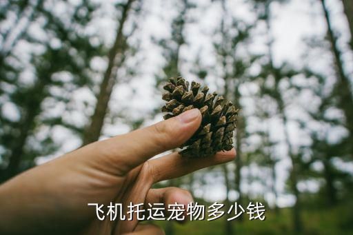 飞机托运宠物多少钱