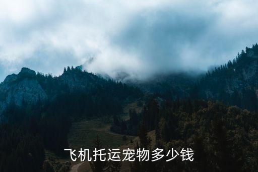 飞机托运宠物多少钱