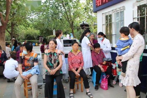 怀柔宠物医院，爱宠健康守护者