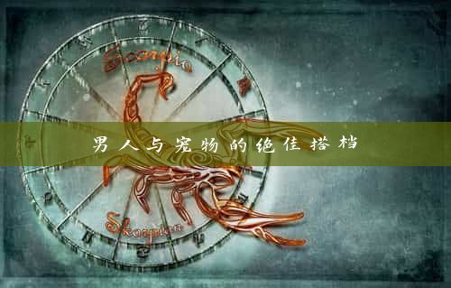  男人与宠物的绝佳搭档 