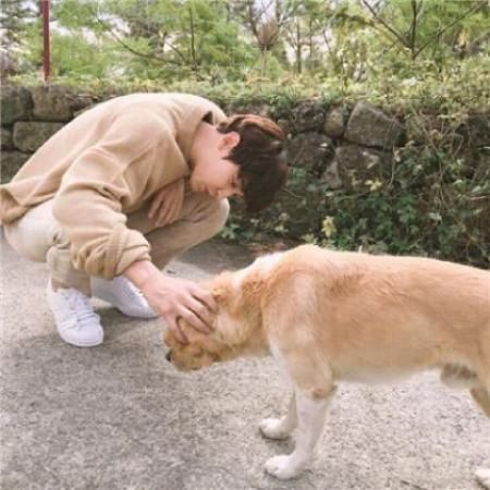 男生和狗的头像喜欢狗狗的男生头像只有一部分