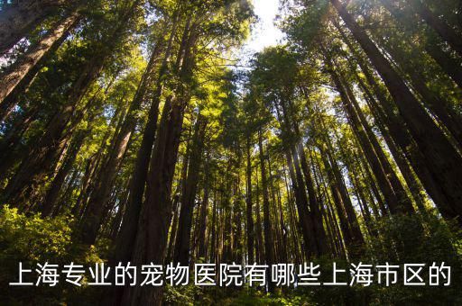 上海专业的宠物医院有哪些上海市区的