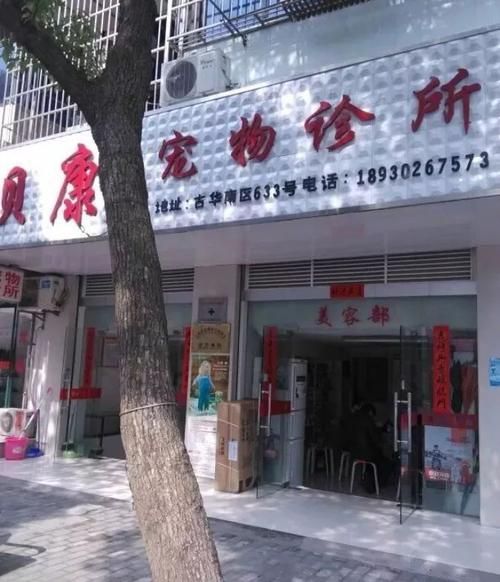 奉贤哪里有宠物医院,奉贤宠物乐园