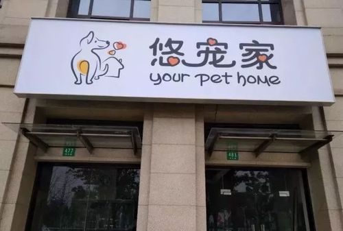 奉贤哪里有宠物医院,奉贤宠物乐园