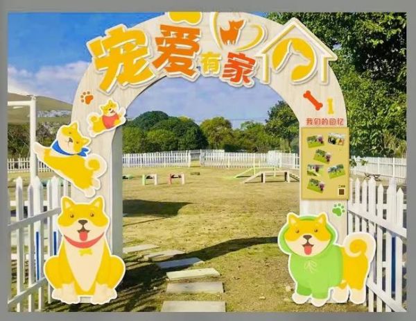 奉贤哪里有宠物医院,奉贤宠物乐园