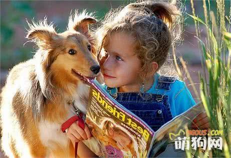 便便也能说话，学会观察狗狗的便便