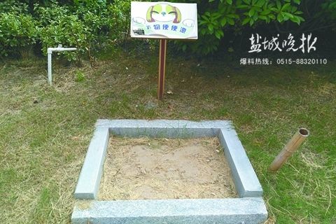 咦!小区里冒出个