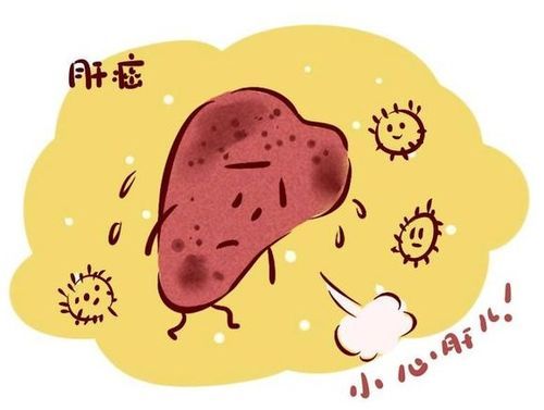宠物拉白便，需警惕消化问题。