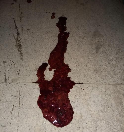 狗狗大便带血，可能的原因和处理方法（了解狗狗大便带血的几种原因及适当的处理方法）