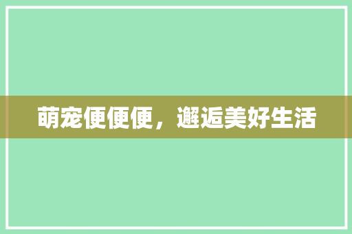萌宠便便便，邂逅美好生活