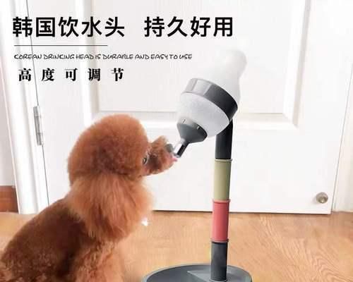 宠物狗为什么一天只拉一次（探究狗狗大便的时间和频率）