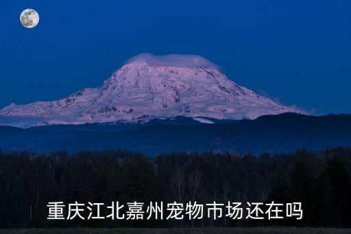 重庆江北嘉州宠物市场还在吗